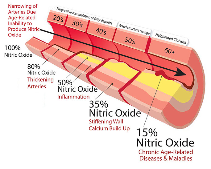 Does Nitric Oxide Lower Blood Pressure?